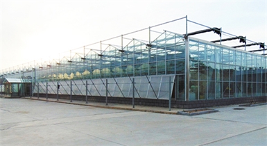 石拐区环境修复植物资源开发工程智能内保温玻璃温室项目