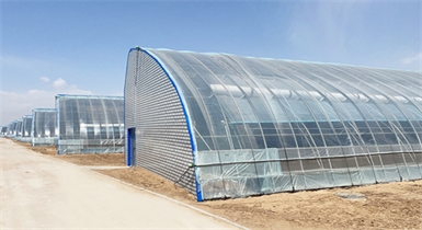托克托县高标准水蓄热内保温装配式日光温室示范基地顺利通过验收并正式投入运营